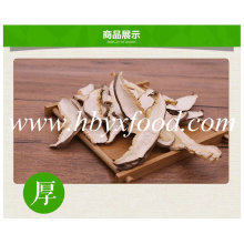 Tranche de champignons bio Shiitake sain de Hubei